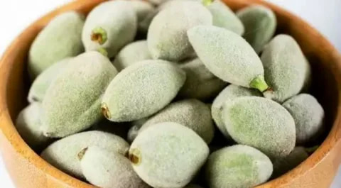 تصویر 1 از قیمت بادام درختی سبز + خرید باور نکردنی